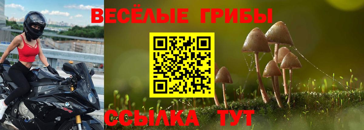 Галлюциногенные грибы Magic Shrooms Богданович
